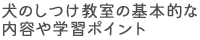 犬のしつけ教室の基本的な内容や学習ポイント
